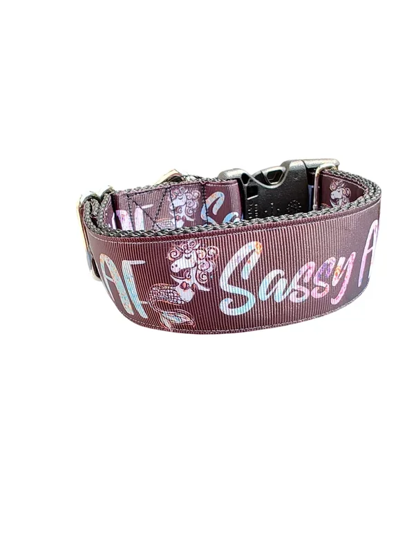 1.5″ Wide Sassy AF Nylon Dog Collar