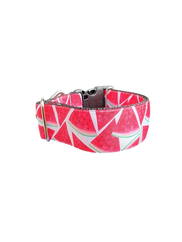 1.5″ Wide Watermelon Slices Nylon Dog Collar