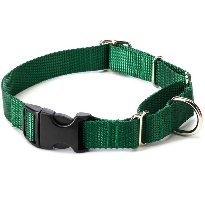 1″ Medium Side-Release Martingale Collar