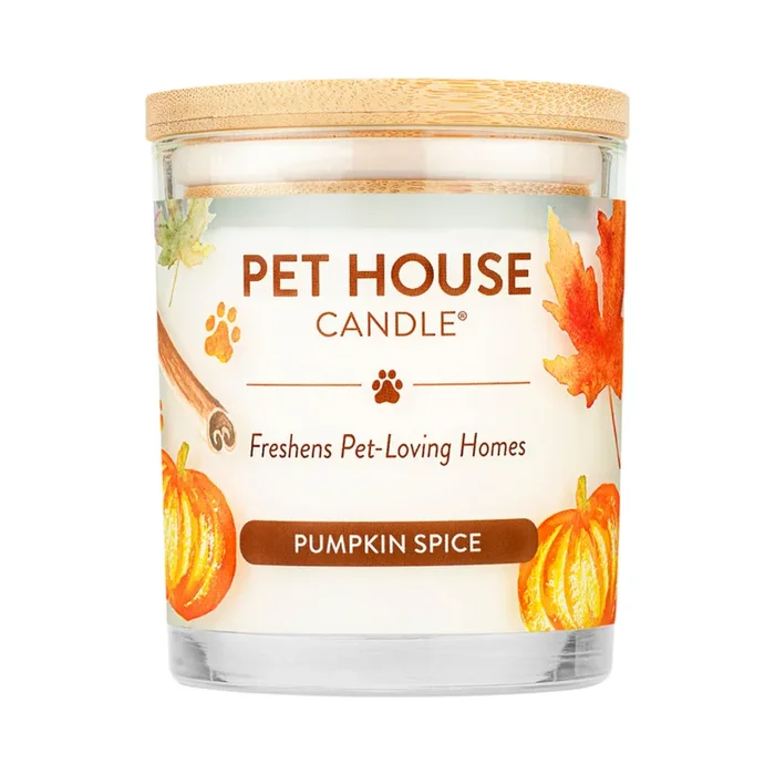 100% Plant-Based Wax Candle, Pumpkin Spice – 9 oz