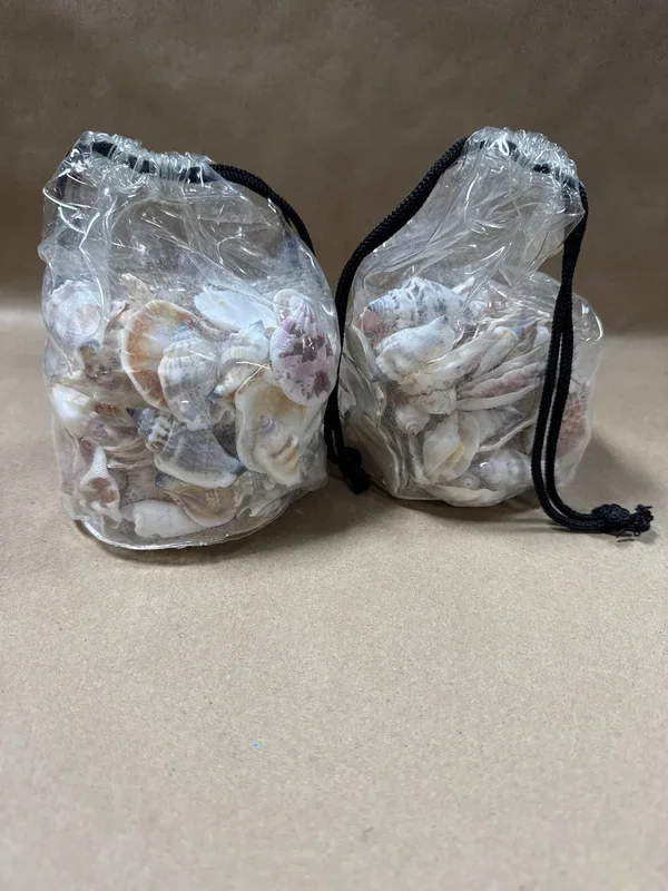 2 Bags Of Seashells