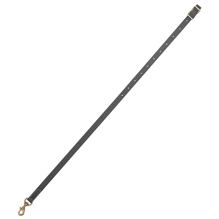 3/4″ Classic Equine Biothane Tie Down Strap, Black