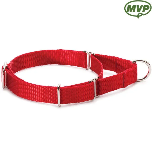 3/4″ Large Martingale-Style Collar