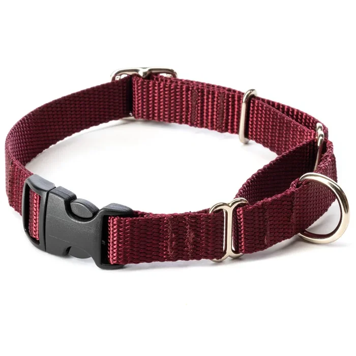 3/4″ Small Side-Release Martingale Collar