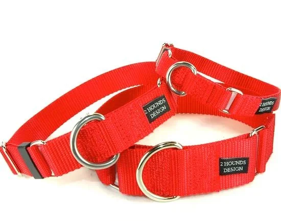 5/8″ Wide Solid Color Buckle Collar