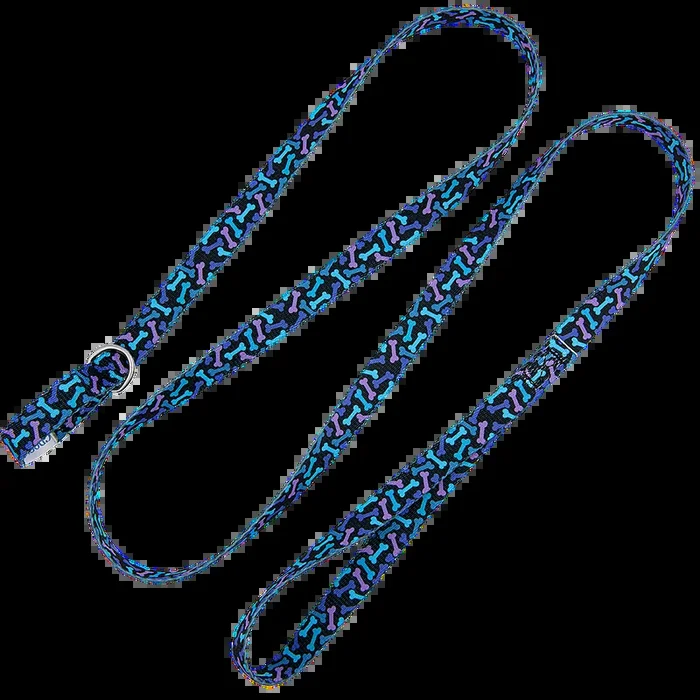 5ft Slip-Lead Leash Colorful Bones by Groom Loop