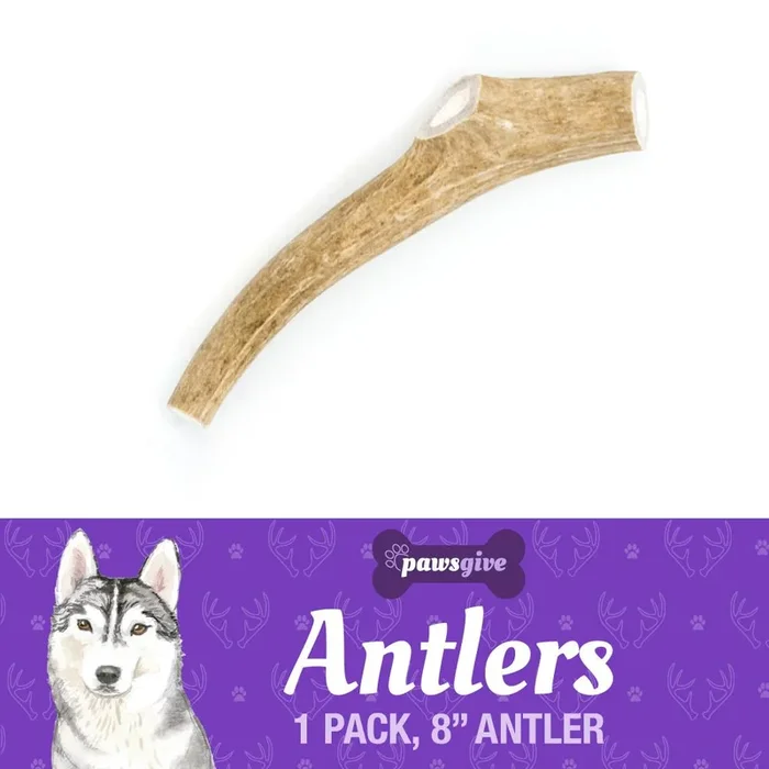 8″ Large Naturally Shed Antler Chew for Dogs