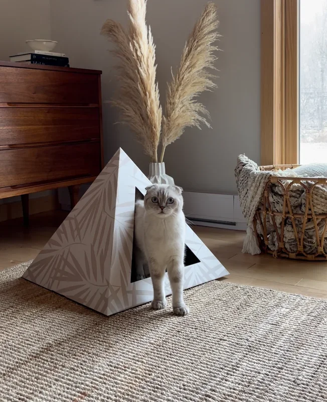 ‘Neutral Palm’ Cardboard Cat Pyramid