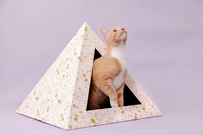 ‘Terrazzo’ Cardboard Cat Pyramid