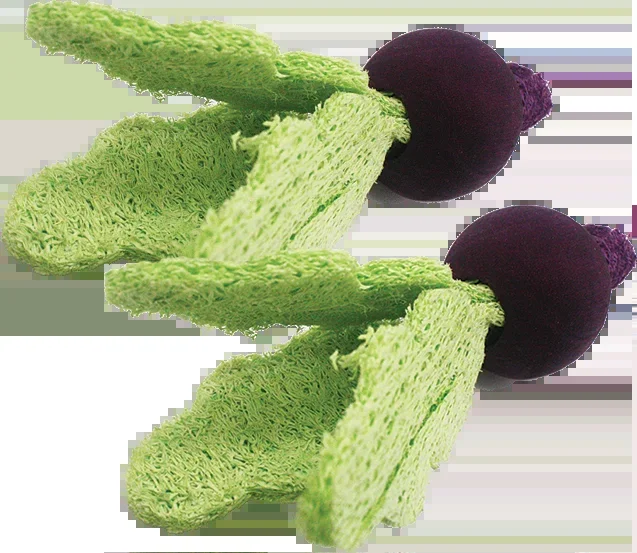 A&E Bird Cage Loofah Turnips Toy for Small Animal