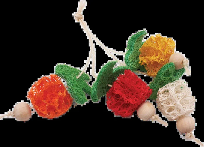 A & E Cage Loofah Bunch of Fruits Small Animal Toy