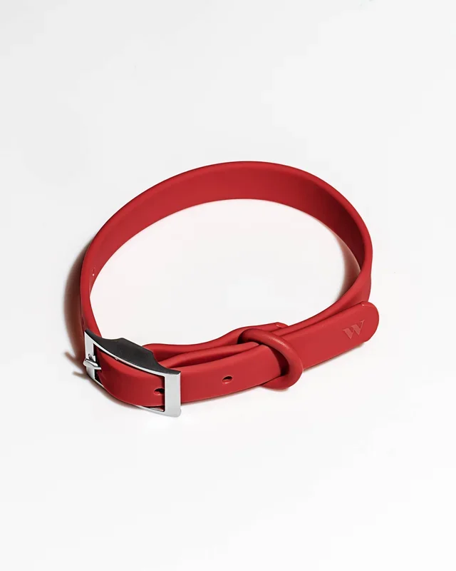 Adjustable Waterproof Fashion Dog Collar: Strawberry / SMALL
