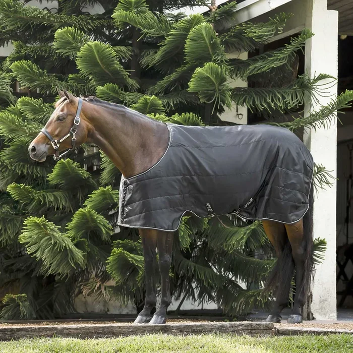 Amigo Quarter Horse Stable Blanket 210D Ripstop, 100g or 200g Fill, Stocky Build Fit