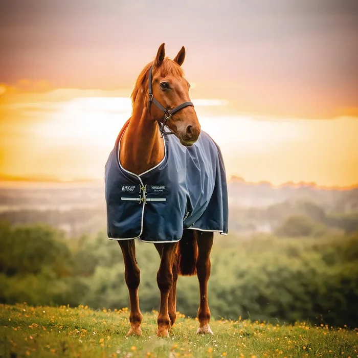 Amigo Ripstop 900D Fleece Lined Turnout Blanket – 50g Lightweight & Waterproof
