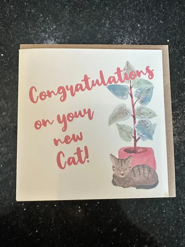 Annie Moon Greeting Cards