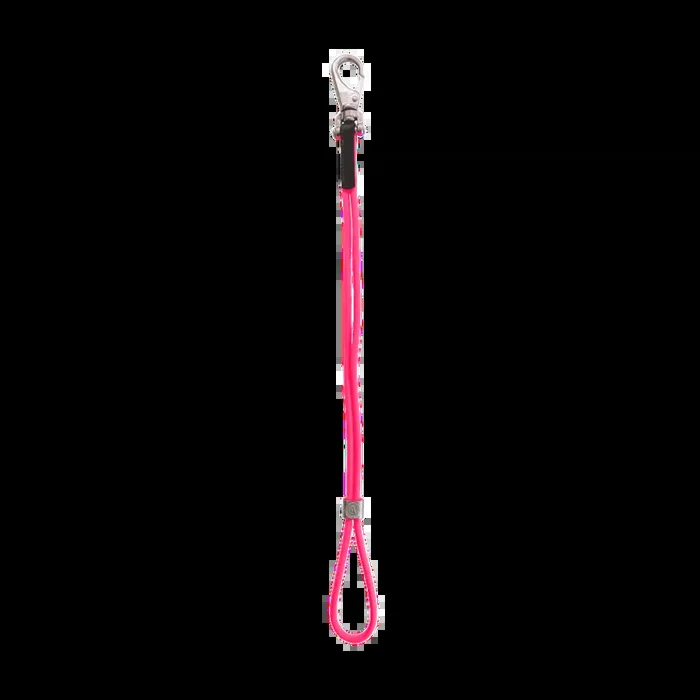 AXL Show Loop Pink by Alpha Grooming