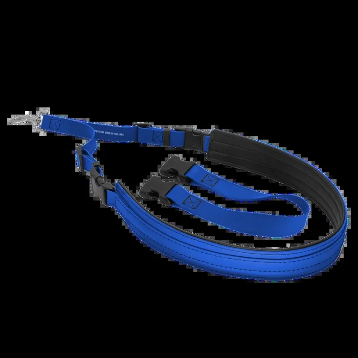 Belly Loop Royal Blue by Jelly Pet