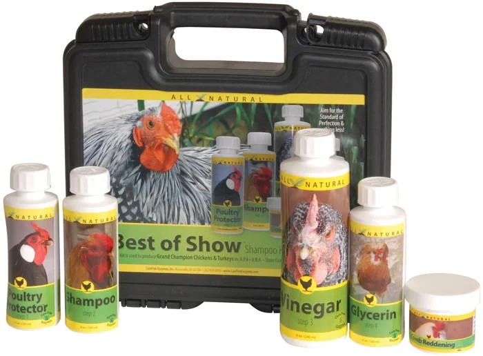 Best of Show