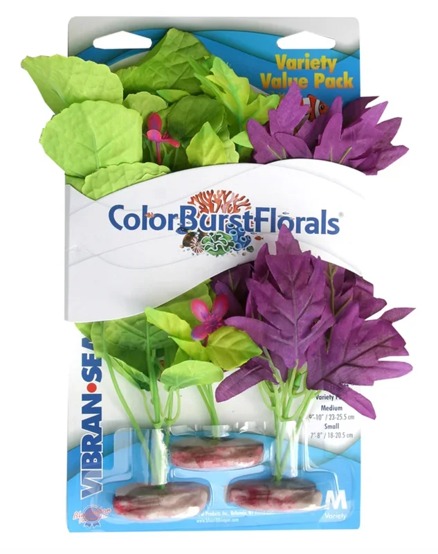 Blue Ribbon – Variety Pack Plants Medium Color Burst Florals Silk-Style