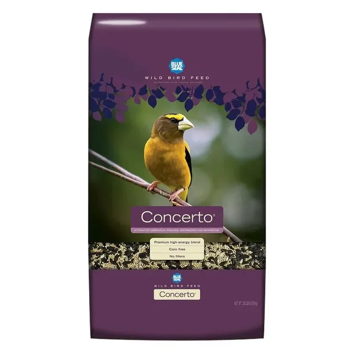 Blue Seal Concerto
