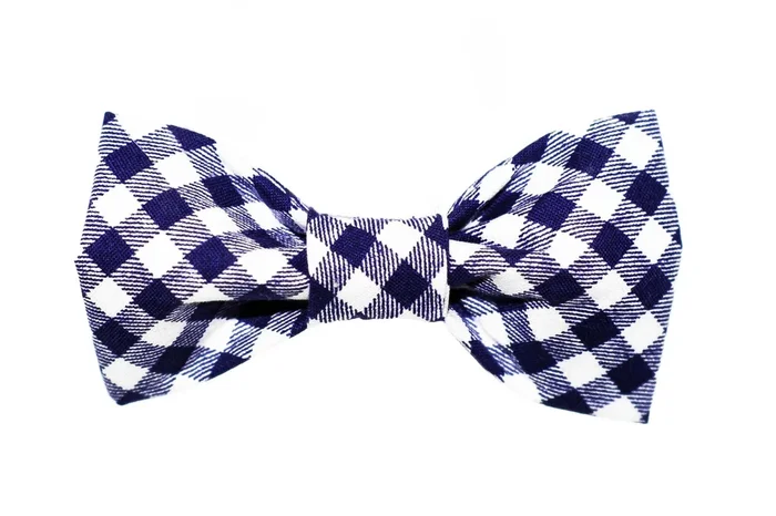 Blue/White Gingham Dog Bow Tie – 915