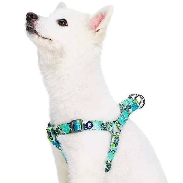 Blueberry Pet – Bahamas Vacation Dog Harness