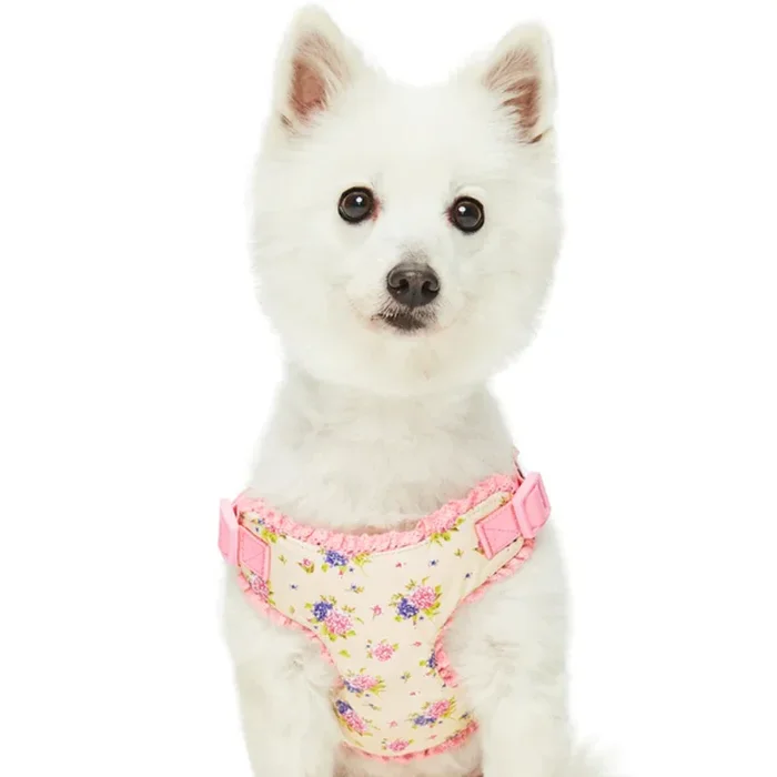 Blueberry Pet – Beige | Spring Balloon Flower Dog Harness