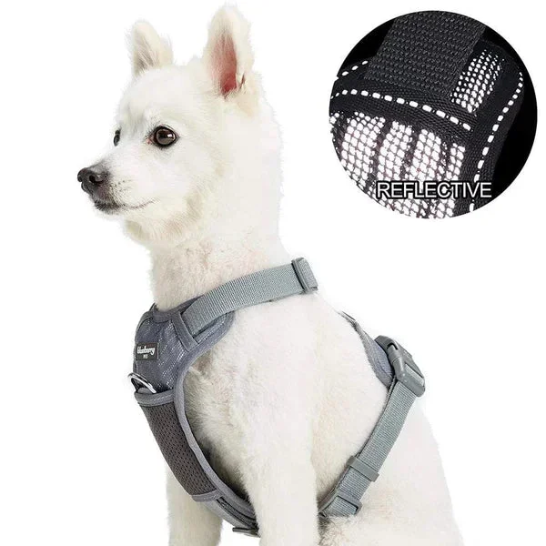Blueberry Pet – Grey | Reflective Mesh Padded No Pull Dog Harness Vest
