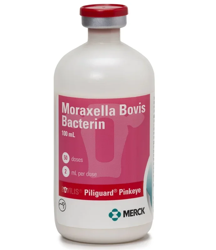 Bovilis Piliguard Pinkeye Cattle Vaccine