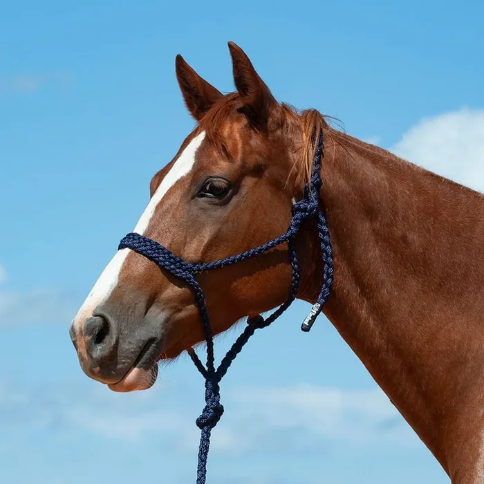 Braided Mule Tape Halter with 9′ Lead