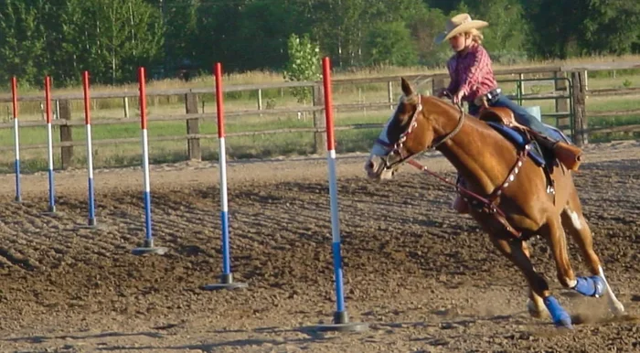 Break-Down Pole Bending Poles