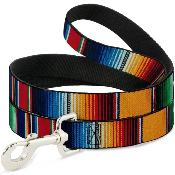 Buckle Down – Rainbow dog Lead By Buckle Down Dog