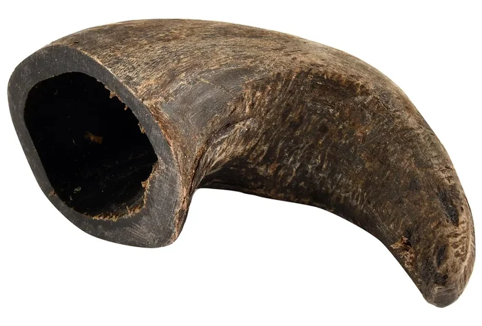 Buffalo Hornz 100% Natural Dog Chew