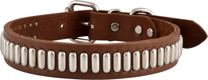 Bully Leather Brown Dog Collar with Oblong Studs, 1″W x 23″L
