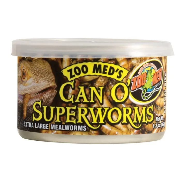 CAN O’ SUPERWORMS EXTRA LARGE MEALWORMS