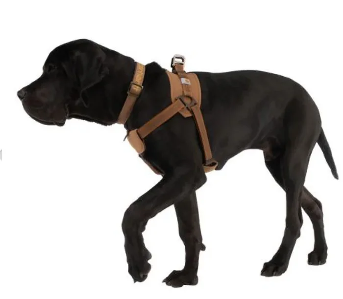 Carhartt – Walking Harness Adjustable