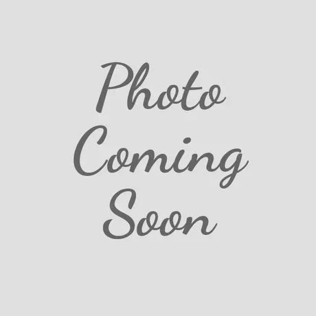Chewy Vuitton Classic Dog Harness – 1103