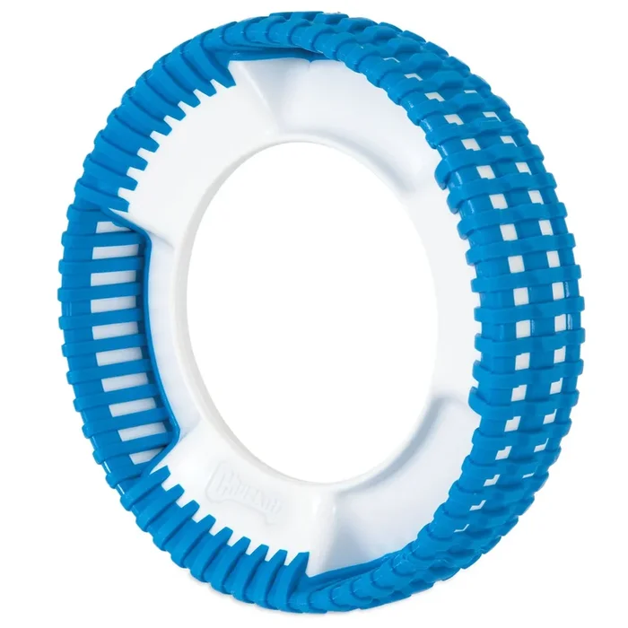 Chuck It Rugged Flyer Dog Toy – Medium