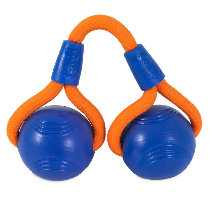 Chuckit! Crunch Duo Tug Dog Toy