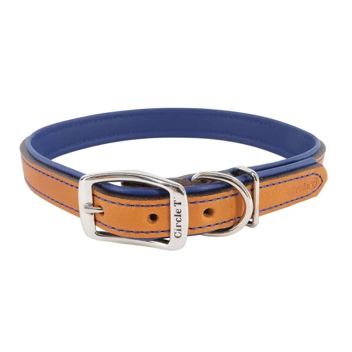 Circle T® Layered Fashion Leather Dog Collar, Large 20″