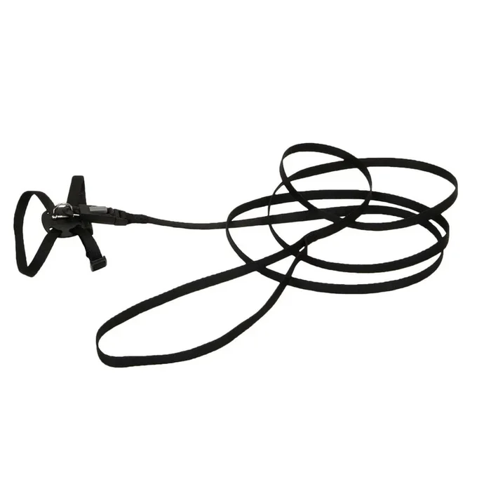 Coastal Pet Li’l Pals Adjustable Kitten Harness and 6′ Leash Combo