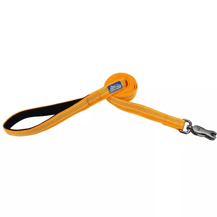 Coastal Pet Products K9 Explorer Brights Reflective Dog Leash Desert 1″ x 06′