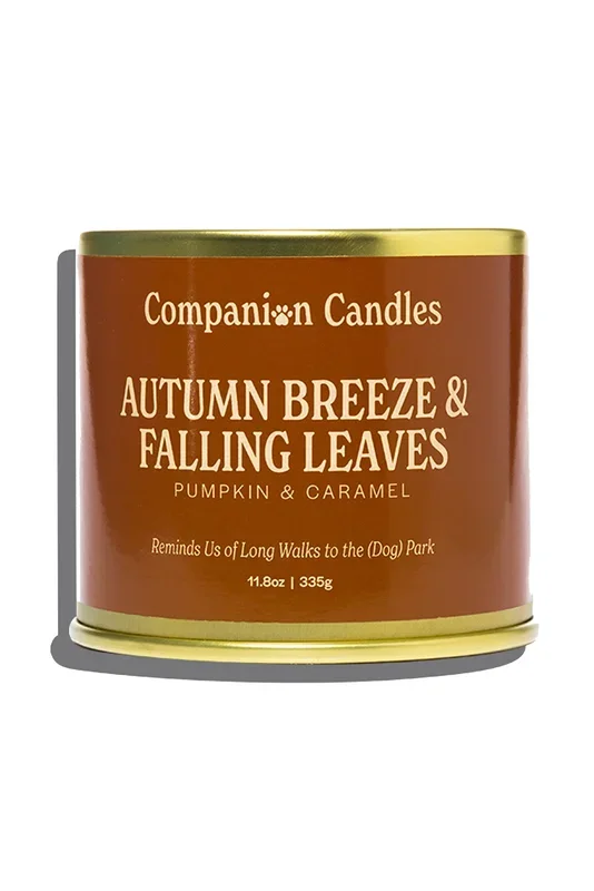 Companion Autumn Breeze Falling Leaves Pumpkin and Caramel Candle