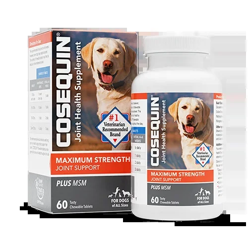 COSEQUIN® Maximum Strength Plus MSM Chewable Tablets