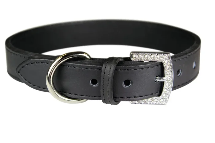 Crystal Buckle Made in USA Leather Dog Collar