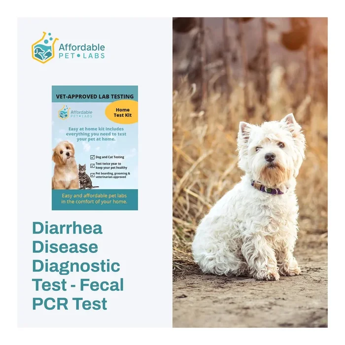 Diarrhea Disease Diagnostic Test – Fecal PCR Test For Dogs, Easy Home Kit