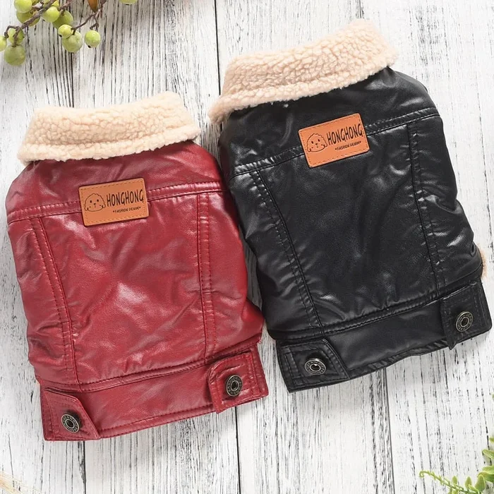 Dog Leather Jacket – Dog & Cat Apparel