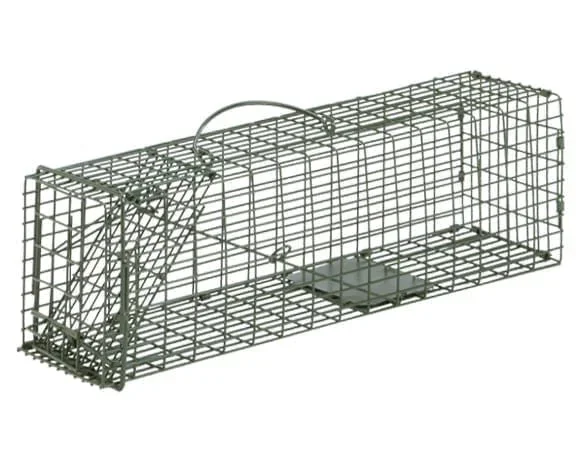 Duke Standard Live Animal Cage Trap – Humane Catch & Release Trap for Rodents & Squirrels