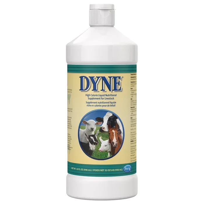 Dyne High Calorie Liquid Nutritional Supplement for Livestock