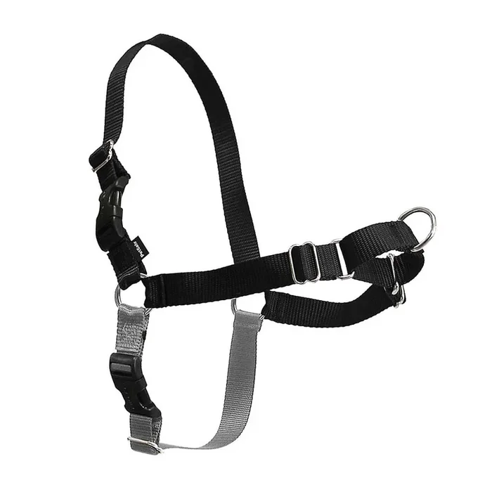 Easy Walk Harness